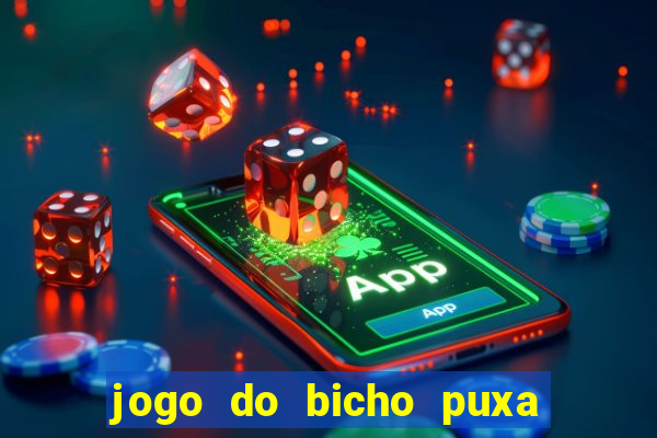 jogo do bicho puxa de dona maria